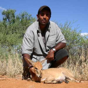 Hunting Duiker in Namibia