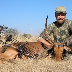 Bowhunting Impala in Namibia