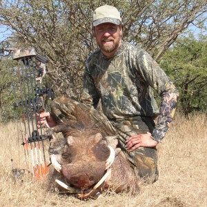 Bowhunting Warthog in Namibia