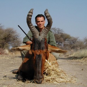 Hunting Red Hartebeest in Namibia