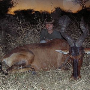 Hunting Red Hartebeest in Namibia