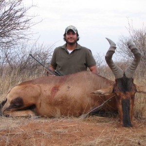 Hunting Red Hartebeest in Namibia