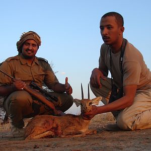 Hunting Steenbok in Namibia