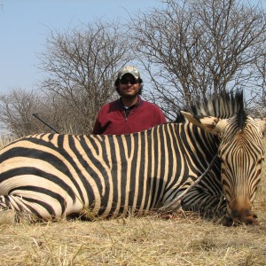 Hunting Hartmann's Mountain Zebra in Namibia