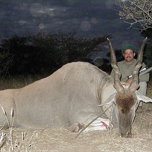 Hunting Cape Eland in Namibia