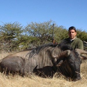 Hunting Blue Wildebeest in Namibia