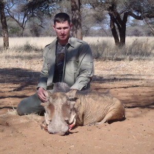 Hunting Warthog in Namibia