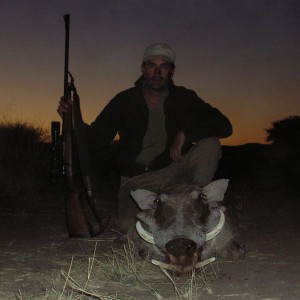 Hunting Warthog in Namibia