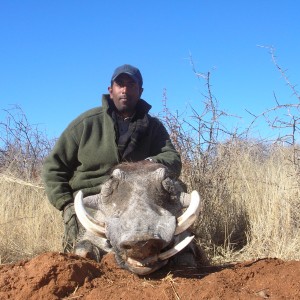 Hunting Warthog in Namibia