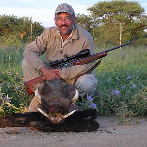 Hunting Warthog in Namibia