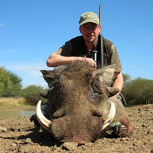 Hunting Warthog in Namibia