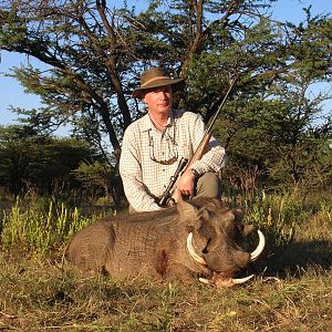 Hunting Warthog in Namibia