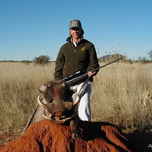 Hunting Warthog in Namibia