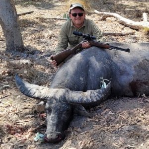 Australian Water Buffalo Hunting