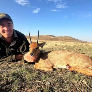 Steenbok Hunt Eastern Cape South Africa