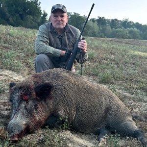 Boar Hunting Italy