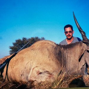 Eland Hunt South Africa