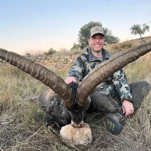 Beceite Ibex Hunt Spain