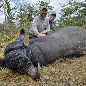 Hunting Cape Buffalo