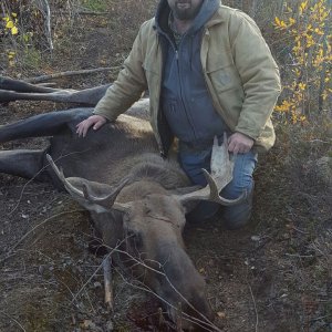 Alaskan Moose Hunt