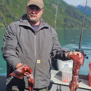 Squid Fishing Valdez Alaska