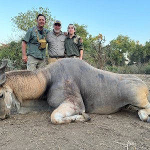 Eland Hunt Zimbabwe