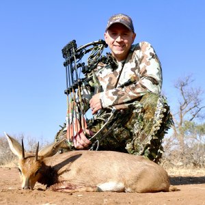 Steenbok taken at 30 yards at Doornrand Safaris