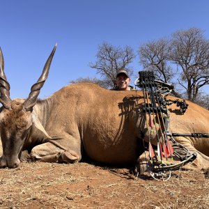 Eland taken at 17 yards at Doornrand Safaris