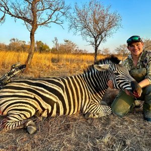 Media 'Zebra Bow Hunt South Africa' in category 'Bow Hunting Africa'