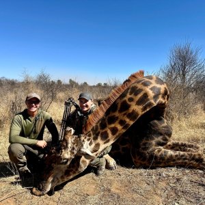 Media 'Giraffe Bow Hunt South Africa' in category 'Bow Hunting Africa'