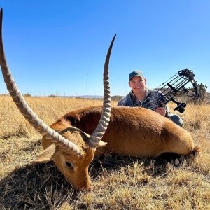 Lechwe Bow Hunt South Africa