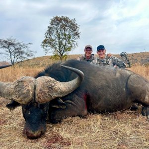 Buffalo Bow Hunt South Africa