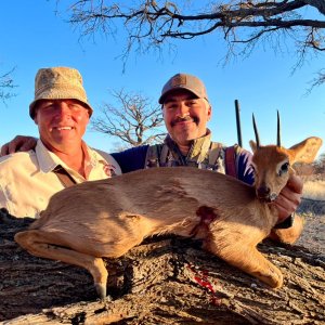 Steenbok Ram Hunt South Africa