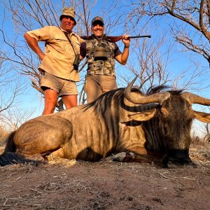 Blue Wildebeest Hunt South Africa