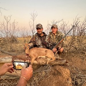 Steenbok Hunt South Africa