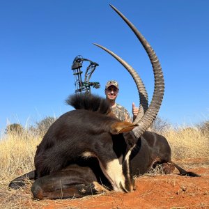 Media 'Sable Bow Hunt South Africa' in category 'Bow Hunting Africa'