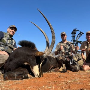 Sable Bow Hunt South Africa