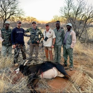 Sable Bow Hunt South Africa