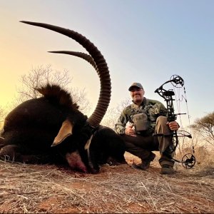 Sable Bow Hunt South Africa