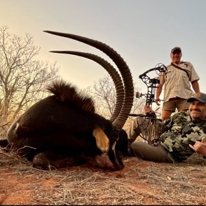 Sable Bow Hunt South Africa