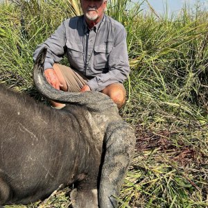 Buffalo Hunting