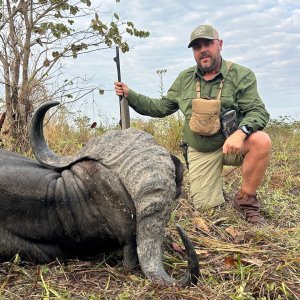 Buffalo Hunting