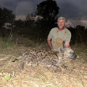 Spotted Hyena Hunting