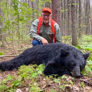 Ontario Black Bear Hunt