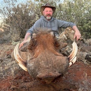 Warthog Hunt South Africa