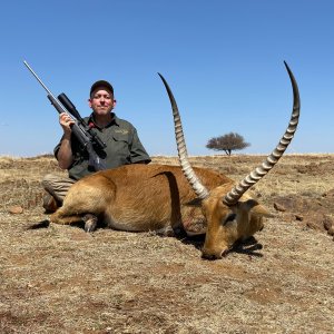 Lechwe Hunt South Africa