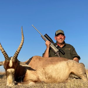 Blesbok Hunt South Africa