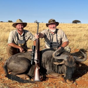 Blue Wildebeest Hunt South Africa