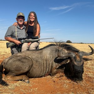 Blue Wildebeest Hunt South Africa