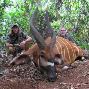 Bongo Hunt Cameroon